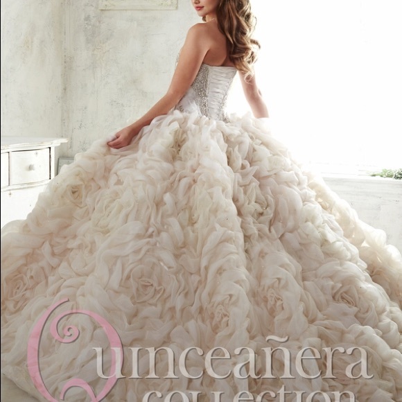 Quinceañera Dress by Quinceañera Collection - Picture 2 of 8